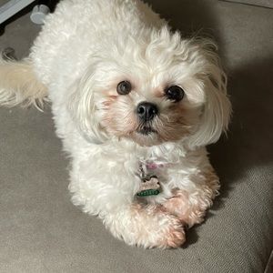 Meet your Posher, Cecile